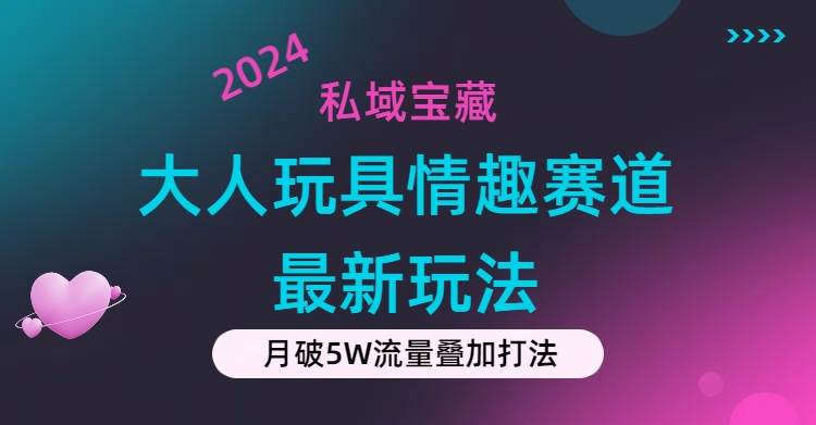 私域宝藏：大人玩具情趣赛道合规新玩法，零投入，私域超高流量成单率高-91搞钱
