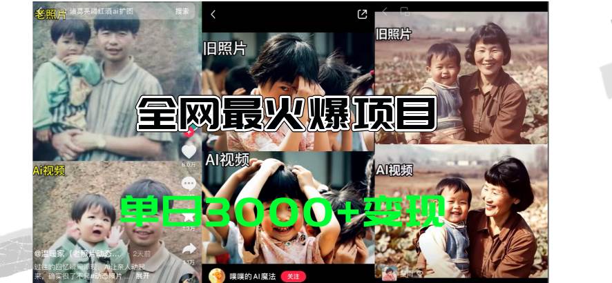 全网爆火的AI让老照片动起来教程，蹭热点日赚3000+，内含免费工具一键...-91搞钱