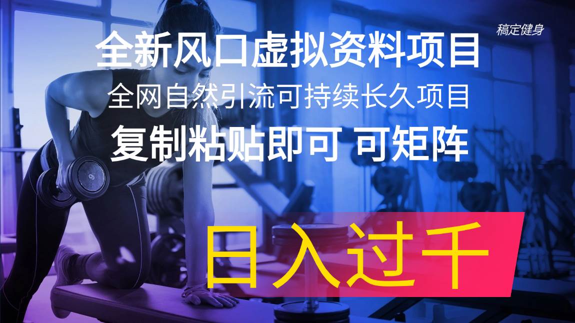 全新风口虚拟资料项目 全网自然引流可持续长久项目 复制粘贴即可可矩阵...-91搞钱