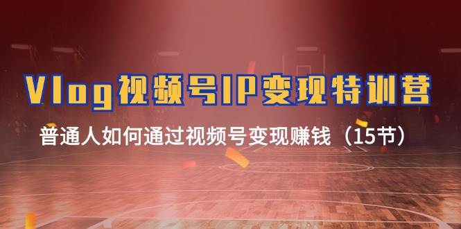 Vlog 视频号IP变现特训营，普通人如何通过视频号变现赚钱（15节）-91搞钱