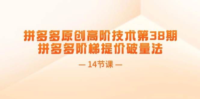 图片[1]-拼多多原创高阶技术第38期，拼多多阶梯提价破量法（14节课）-91搞钱