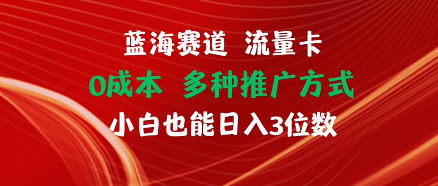 图片[1]-蓝海赛道 流量卡 0成本 小白也能日入三位数-91搞钱