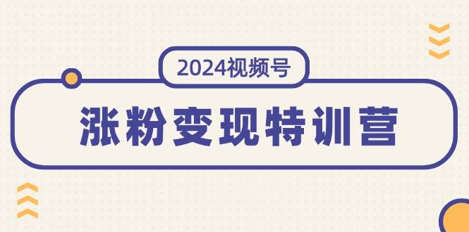 图片[1]-2024视频号-涨粉变现特训营：一站式打造稳定视频号涨粉变现模式（10节）-91搞钱