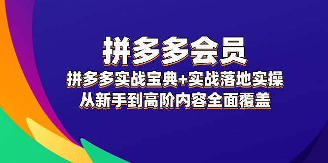 拼多多 会员，拼多多实战宝典+实战落地实操，从新手到高阶内容全面覆盖-91搞钱