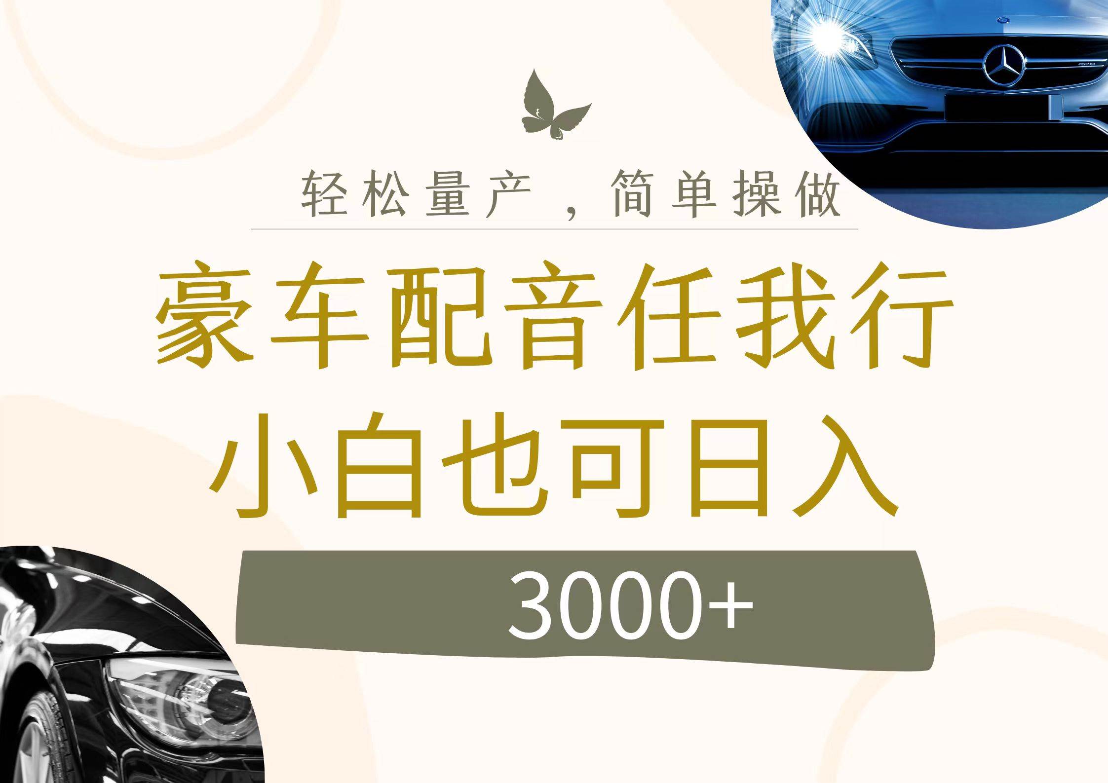 不为人知的暴力小项目，豪车配音，日入3000+-91搞钱