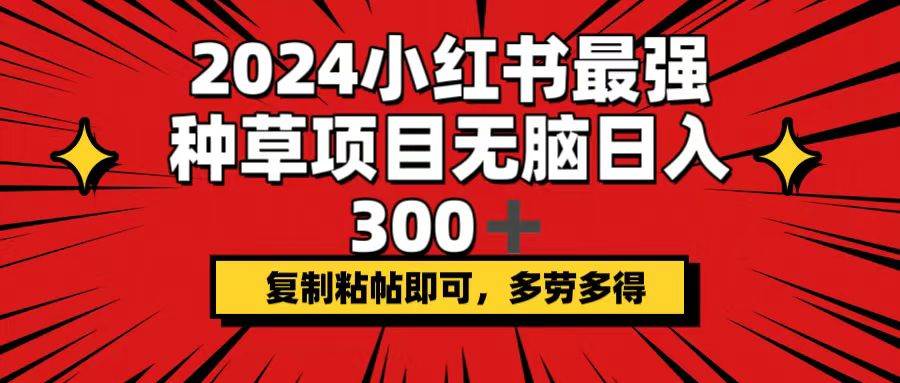 2024小红书最强种草项目，无脑日入300+，复制粘帖即可，多劳多得-91搞钱
